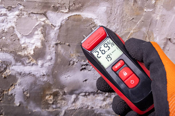 Best Mold Removal Near Me  in Booneville, MS