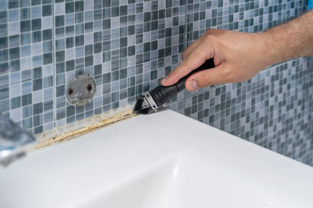 Best Residential Mold Removal  in Booneville, MS